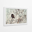 Pequeño búho vigilante - Emilian Avramescu | Cuadro decorativo de Canvas Lab