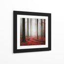 Sendero brumoso del bosque otoñal - Carsten Meyerdierks | Cuadro decorativo de Canvas Lab