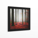 Sendero brumoso del bosque otoñal - Carsten Meyerdierks | Cuadro decorativo de Canvas Lab