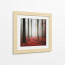 Sendero brumoso del bosque otoñal - Carsten Meyerdierks | Cuadro decorativo de Canvas Lab