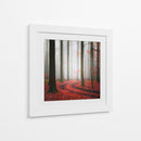 Sendero brumoso del bosque otoñal - Carsten Meyerdierks | Cuadro decorativo de Canvas Lab