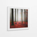 Sendero brumoso del bosque otoñal - Carsten Meyerdierks | Cuadro decorativo de Canvas Lab