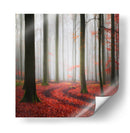 Sendero brumoso del bosque otoñal - Carsten Meyerdierks | Cuadro decorativo de Canvas Lab