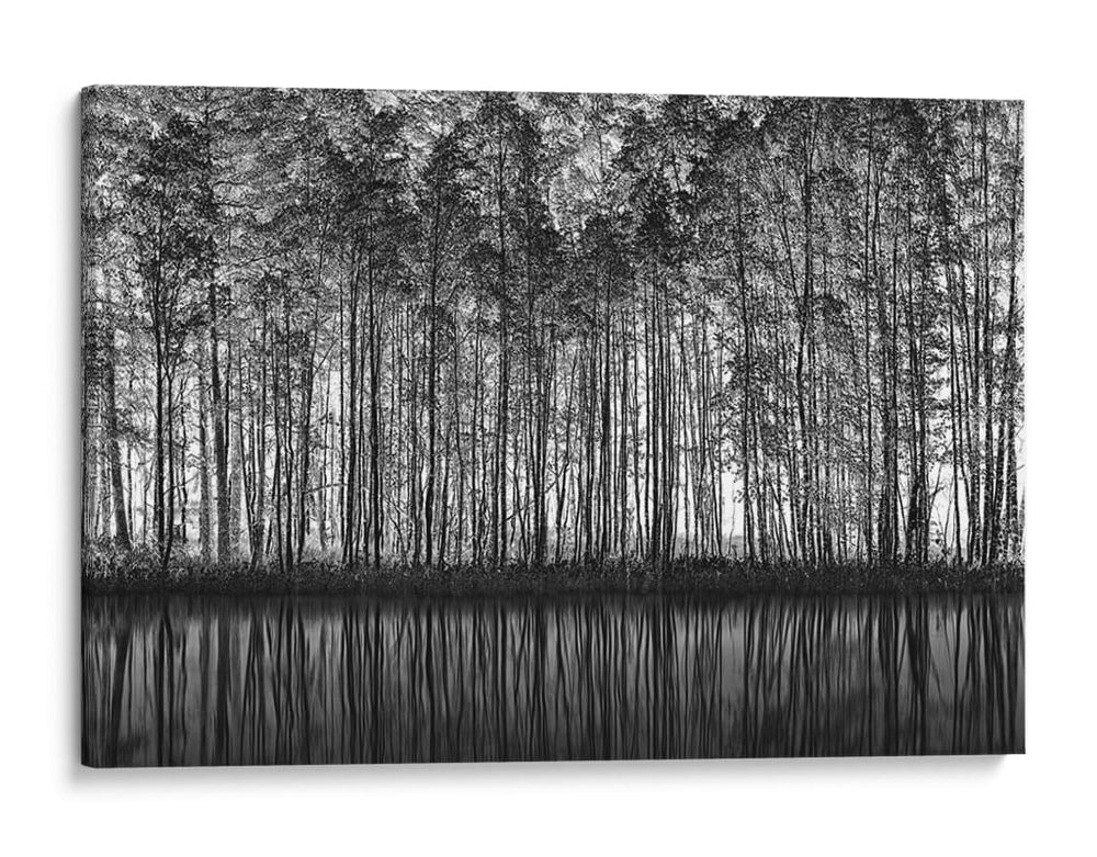 Reflejos del bosque en blanco y negro - Roswitha Schleicher-Schwarz | Cuadro decorativo de Canvas Lab
