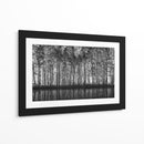 Reflejos del bosque en blanco y negro - Roswitha Schleicher-Schwarz | Cuadro decorativo de Canvas Lab