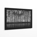 Reflejos del bosque en blanco y negro - Roswitha Schleicher-Schwarz | Cuadro decorativo de Canvas Lab