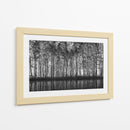 Reflejos del bosque en blanco y negro - Roswitha Schleicher-Schwarz | Cuadro decorativo de Canvas Lab