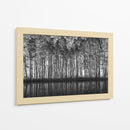 Reflejos del bosque en blanco y negro - Roswitha Schleicher-Schwarz | Cuadro decorativo de Canvas Lab