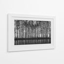 Reflejos del bosque en blanco y negro - Roswitha Schleicher-Schwarz | Cuadro decorativo de Canvas Lab