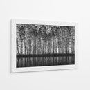 Reflejos del bosque en blanco y negro - Roswitha Schleicher-Schwarz | Cuadro decorativo de Canvas Lab