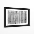 Reflejos en el bosque brumoso - Aglioni Simone | Cuadro decorativo de Canvas Lab