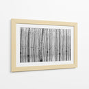 Reflejos en el bosque brumoso - Aglioni Simone | Cuadro decorativo de Canvas Lab