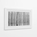 Reflejos en el bosque brumoso - Aglioni Simone | Cuadro decorativo de Canvas Lab