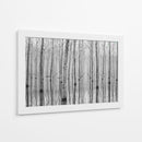 Reflejos en el bosque brumoso - Aglioni Simone | Cuadro decorativo de Canvas Lab