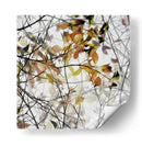Ramas doradas de otoño - Gilbert Claes | Cuadro decorativo de Canvas Lab