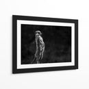 Suricata vigilante de pie - Greetje van Son | Cuadro decorativo de Canvas Lab