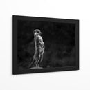 Suricata vigilante de pie - Greetje van Son | Cuadro decorativo de Canvas Lab