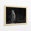 Suricata vigilante de pie - Greetje van Son | Cuadro decorativo de Canvas Lab