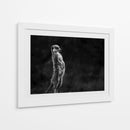 Suricata vigilante de pie - Greetje van Son | Cuadro decorativo de Canvas Lab