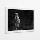 Suricata vigilante de pie - Greetje van Son | Cuadro decorativo de Canvas Lab