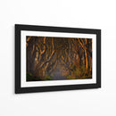 Túnel del Árbol Dorado - Piotr Galus | Cuadro decorativo de Canvas Lab