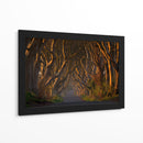 Túnel del Árbol Dorado - Piotr Galus | Cuadro decorativo de Canvas Lab