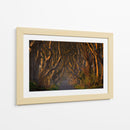 Túnel del Árbol Dorado - Piotr Galus | Cuadro decorativo de Canvas Lab