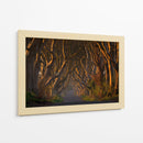 Túnel del Árbol Dorado - Piotr Galus | Cuadro decorativo de Canvas Lab