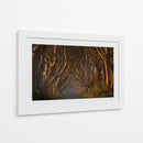 Túnel del Árbol Dorado - Piotr Galus | Cuadro decorativo de Canvas Lab