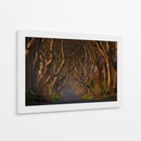 Túnel del Árbol Dorado - Piotr Galus | Cuadro decorativo de Canvas Lab