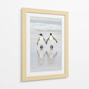Una pareja de pingüinos enamorados - Joan Gil Raga | Cuadro decorativo de Canvas Lab