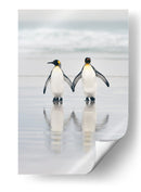 Una pareja de pingüinos enamorados - Joan Gil Raga | Cuadro decorativo de Canvas Lab