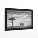 Soledad del elefante africano - Mario Moreno | Cuadro decorativo de Canvas Lab