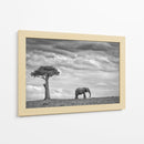 Soledad del elefante africano - Mario Moreno | Cuadro decorativo de Canvas Lab