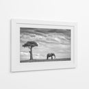 Soledad del elefante africano - Mario Moreno | Cuadro decorativo de Canvas Lab