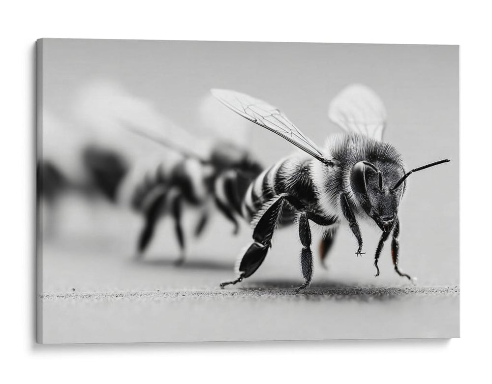 Abejas en zoom - DIEGO D L | Cuadro decorativo de Canvas Lab