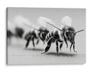 Abejas en zoom - DIEGO D L | Cuadro decorativo de Canvas Lab