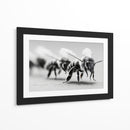 Abejas en zoom - DIEGO D L | Cuadro decorativo de Canvas Lab