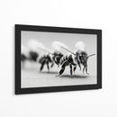 Abejas en zoom - DIEGO D L | Cuadro decorativo de Canvas Lab