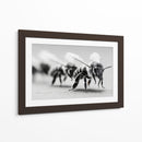 Abejas en zoom - DIEGO D L | Cuadro decorativo de Canvas Lab