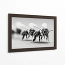 Abejas en zoom - DIEGO D L | Cuadro decorativo de Canvas Lab