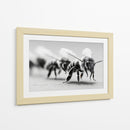 Abejas en zoom - DIEGO D L | Cuadro decorativo de Canvas Lab