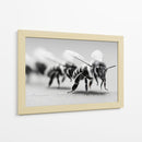 Abejas en zoom - DIEGO D L | Cuadro decorativo de Canvas Lab