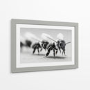 Abejas en zoom - DIEGO D L | Cuadro decorativo de Canvas Lab