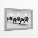 Abejas en zoom - DIEGO D L | Cuadro decorativo de Canvas Lab