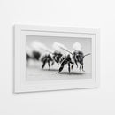 Abejas en zoom - DIEGO D L | Cuadro decorativo de Canvas Lab