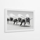 Abejas en zoom - DIEGO D L | Cuadro decorativo de Canvas Lab