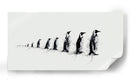 Tamaños de pingüinos - DIEGO D L | Cuadro decorativo de Canvas Lab