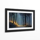 Bosque con rastro dorado - DIEGO D L | Cuadro decorativo de Canvas Lab