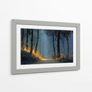 Bosque con rastro dorado - DIEGO D L | Cuadro decorativo de Canvas Lab